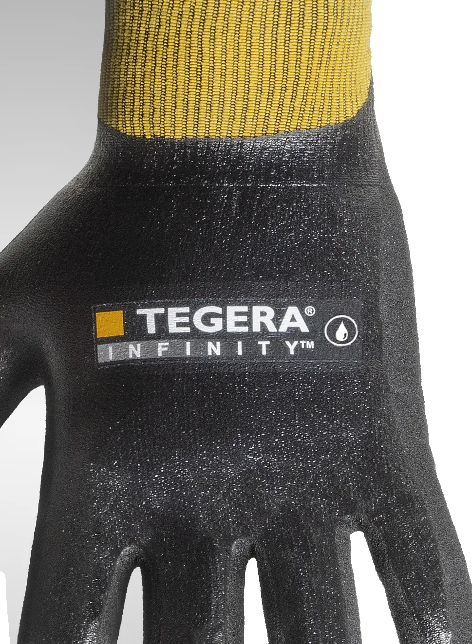 di 8804 12 Tergera infinity 8804