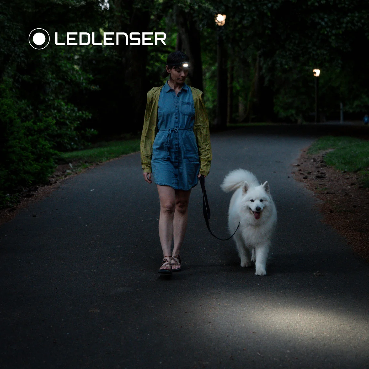 B0DGTVMDH1.PT03 Ledlenser HF4R CORE Rechargeable Head Torch LED - Image 8